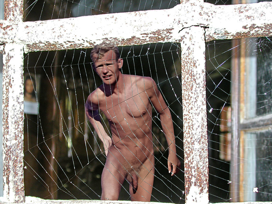 Nackt hinter einem Spinnennetz - Collage